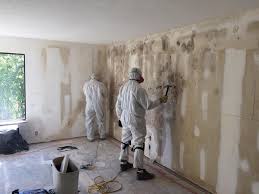 Professional Mold Removal & Remediation in Mauldin, SC